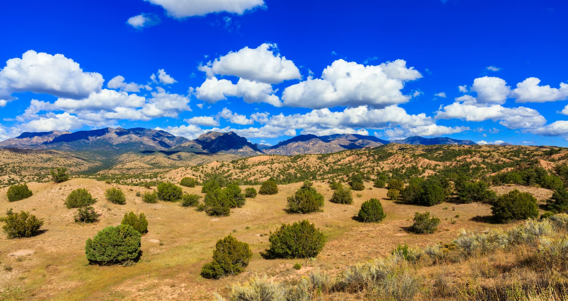 New Mexico landscape