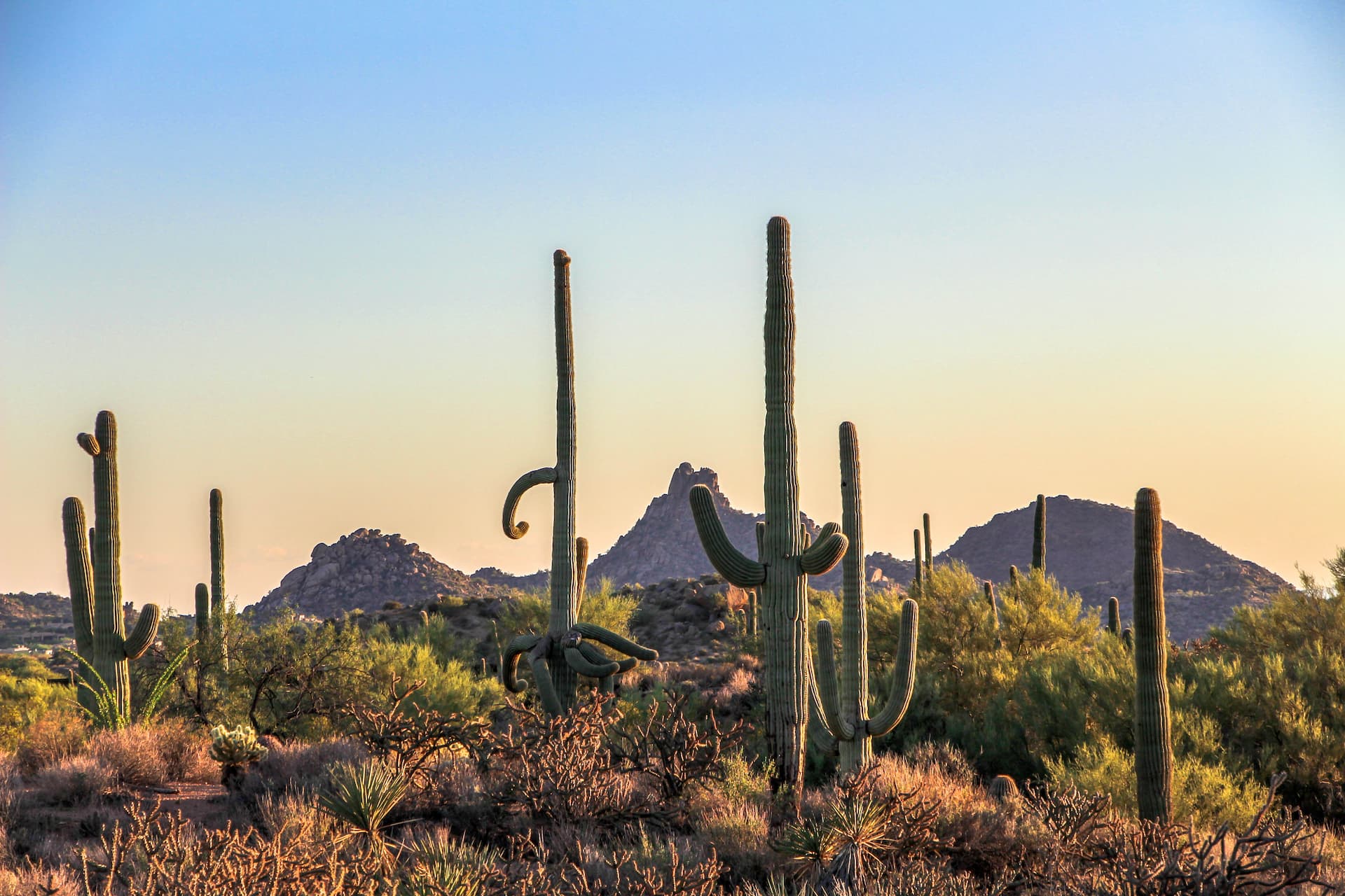 Southwest landscape