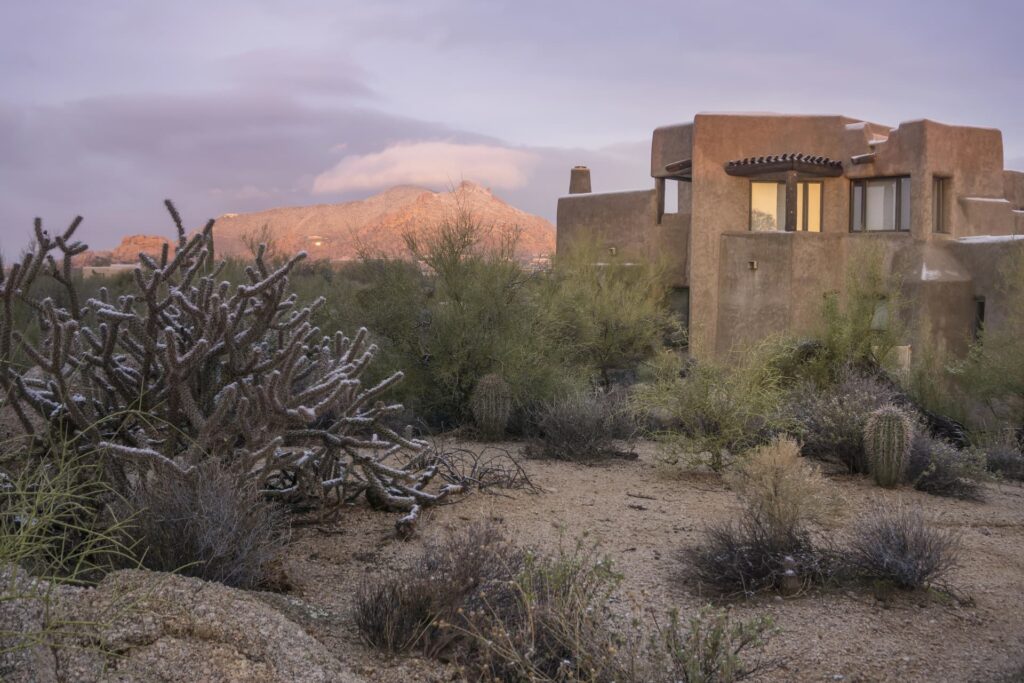 Xeriscaping a yard