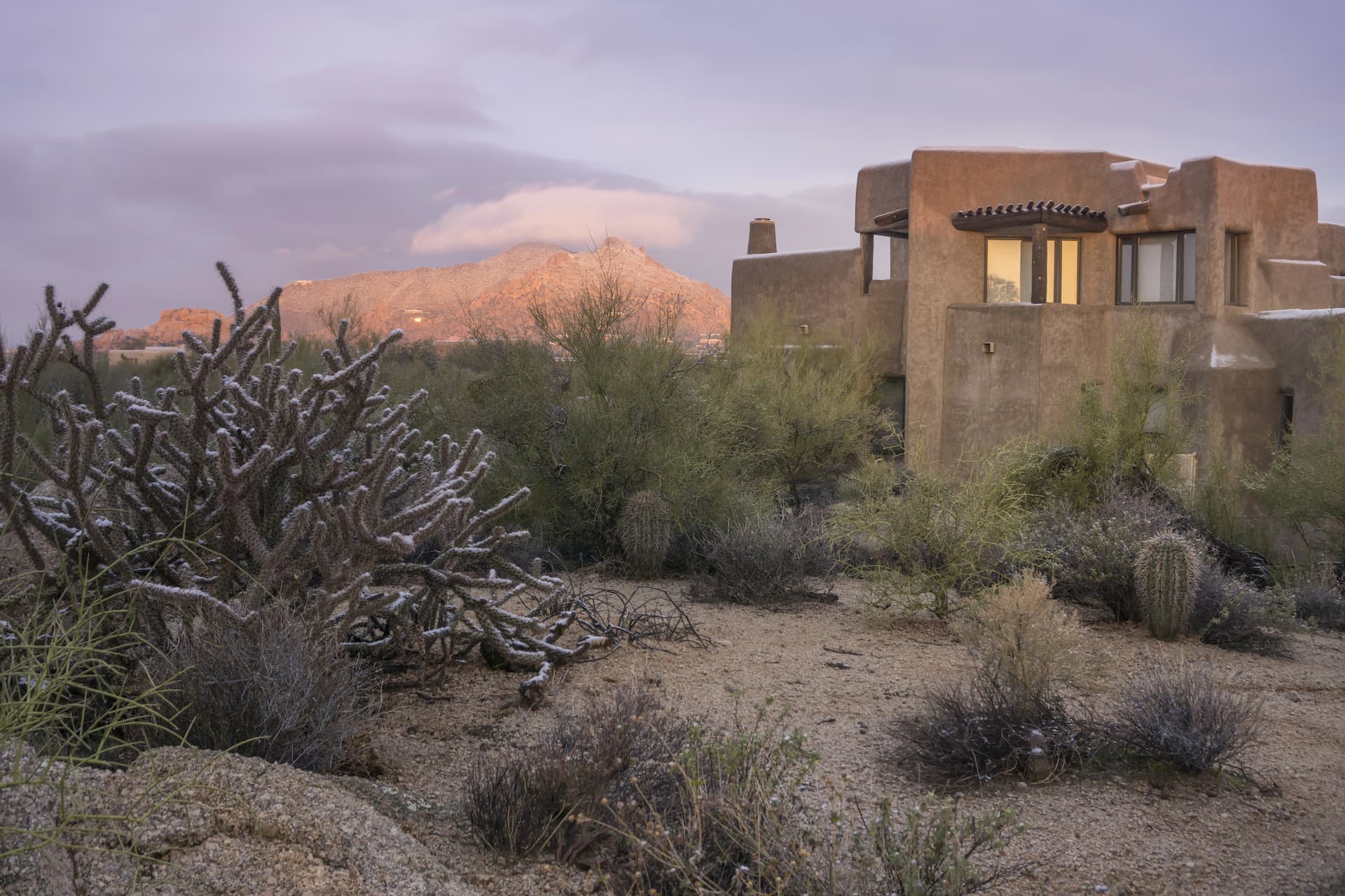 Xeriscaping a yard